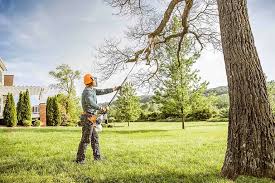 Trusted Ossun, LA Tree Services Experts